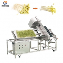 鳳翔 豆芽切頭機(jī)托盤式帶鋸切菜機(jī)芽苗切根機(jī)
