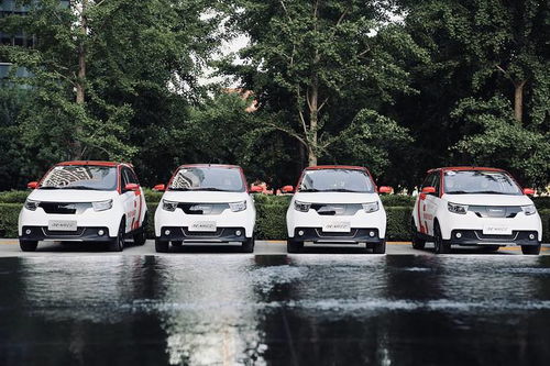 電咖汽車(chē)突圍新賽道 年度實(shí)現(xiàn)規(guī)模化SUV銷(xiāo)售成為亮點(diǎn)，重磅新品有望明年登場(chǎng)